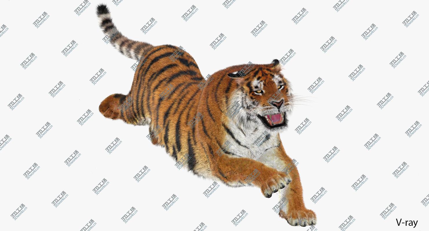 images/goods_img/20210319/Tiger Amur (Animated) (Fur)/4.jpg